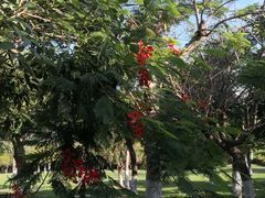 -厦门国家会计学院