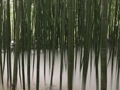 景点-竹泉村旅游度假区