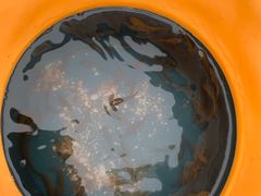 -嵊泗基湖沙滩