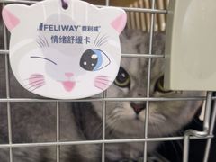 -瑞鹏宠物医院·宠保定点·心脏科·内科(御桥分院)