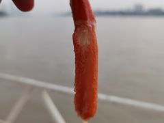 皇帝蟹腿肉-白天鹅宾馆·流浮阁咖啡厅