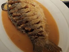 红烧黄河大鲤鱼-阿庄新豫菜(通泰路店)
