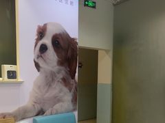 -瑞派申生动物医院·24H夜诊·国际动物医疗中心·骨外科(吴中路店)