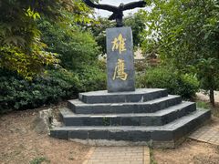 -南京老山国家森林公园
