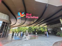 -新加坡飞禽公园