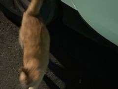 -迎晖路(地铁站)
