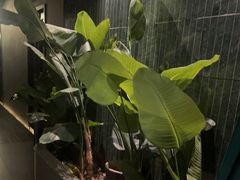 -涟LIAN·泰式按摩·MASSAGE·SPA(华强北店)
