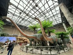 -国家自然博物馆