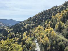 -芦芽山旅游度假区