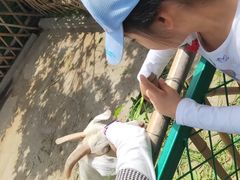 -太阳岛度假酒店