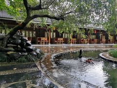 -杨家寨