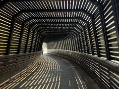 -昆山城市生态森林公园