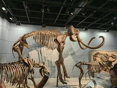 -浙江自然博物院(杭州馆)