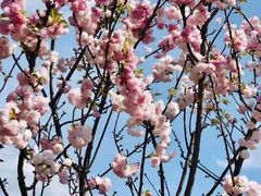 -观澜湖生态运动公社