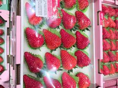 -果蔬好生活超市(乐堤港店)