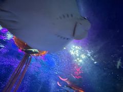 -沈阳海洋探索中心