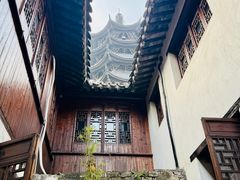 -月栖华明-云间草堂清茶馆(泗泾古镇店)