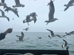 -海驴岛(荣成市)