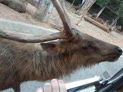 -清迈夜间动物园