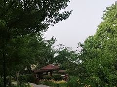 -东海森林温泉