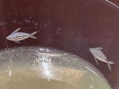 -The Bottle Bar(羲和商业广场店)