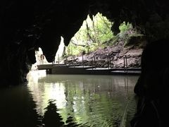 -怀托摩萤火虫洞