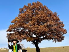 -克什克腾世界地质公园青山景区