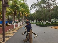 -万绿园