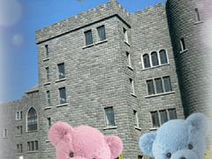 -阿什福德城堡大酒店-停车场