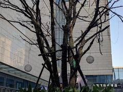 -Devils’ Brewery小恶魔精酿啤酒(泛海美式熏肉店)