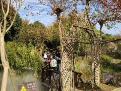 -武汉紫薇都市田园