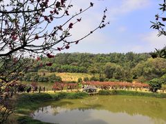 -南国桃园旅游度假区