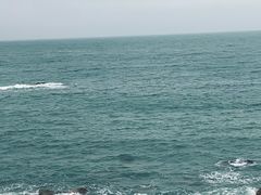 -广东惠东海龟国家级自然保护区