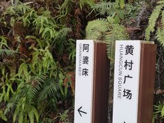 -羚羊峡古栈道森林公园