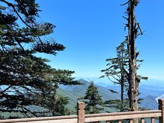 -瓦屋山景区