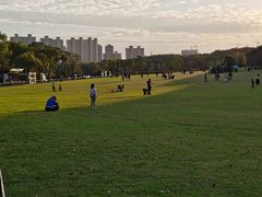 -昆山城市生态森林公园