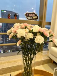 -JNK皮肤管理中心