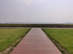 -芍药居北里