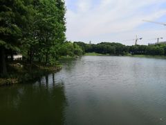 -尚贤河湿地