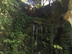 -杭州黄龙洞