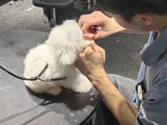 -宠物家(双井店)