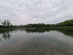 -大兴滨河森林公园