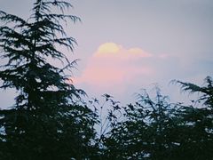 -万达茂商场(南京仙林店)