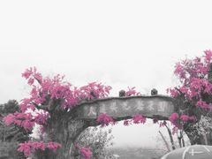 -天适樱花悠乐园
