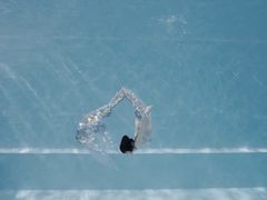 -上海潜殿潜水中心