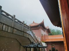 -深圳仙湖植物园