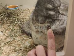 -龙猫仔乐园(惠福东路店)