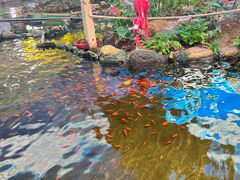 -鸿通城购物中心