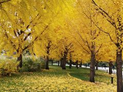 -北京植物园-展览温室