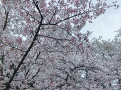 -杭州少年儿童公园
